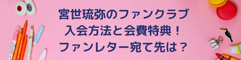 水谷麻里　カセットレター　ファンクラブ会員特典 アイドル タレントグッズ おもちゃ・ホビー・グッズ 高速配送
